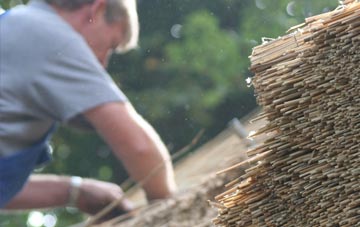 professional Evanton thatchers